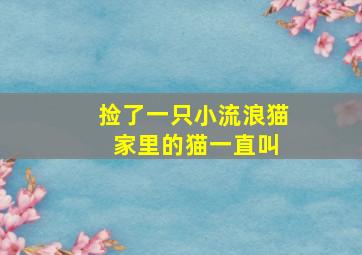 捡了一只小流浪猫 家里的猫一直叫